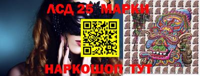 соль ск Бердск