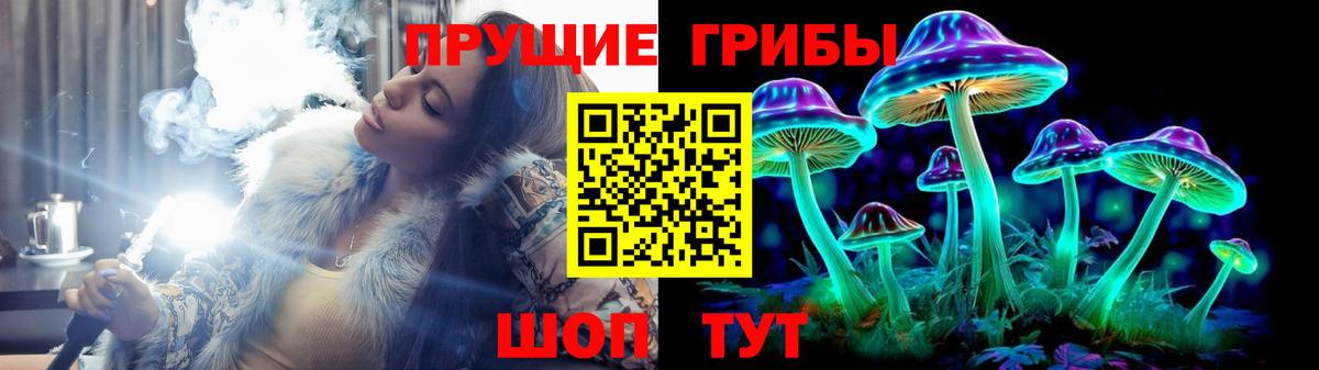 Псилоцибиновые грибы Psilocybine cubensis  Вход с VPN  Губкин 